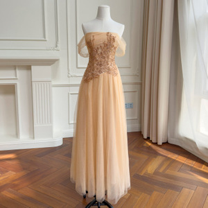 Champagne Off-the-Shoulder Embroidered Tulle Gown69642