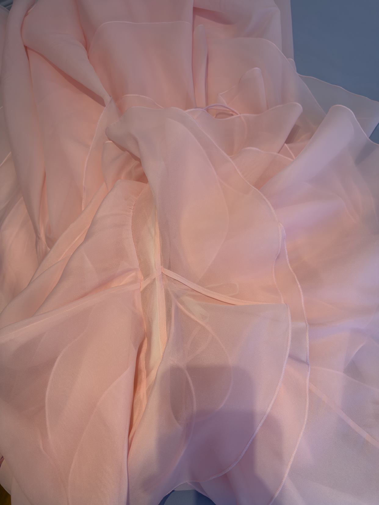 IMG_2331.jpg