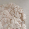 Apricot Beige Gentle Lace & Tulle Dress69099